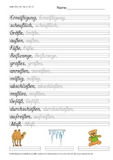 DSS_2S_Bu_ß_Nr_01.pdf